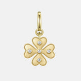 Luck Charm