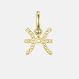 Pisces Charm