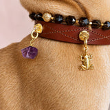 Renewal Charm