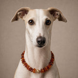 Protection Dog Necklace