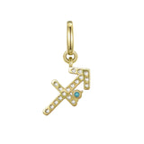Sagittarius Charm
