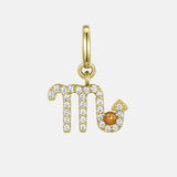 Scorpio Charm
