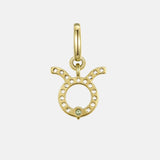 Taurus Charm