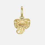 Wisdom Charm