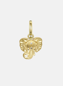 Wisdom Charm