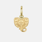 Wisdom Charm