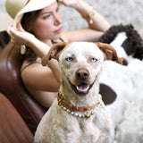 Balance Dog Necklace