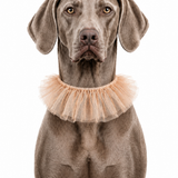 Grace Tulle Ruff