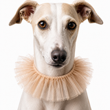 Grace Tulle Ruff