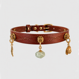 Untamed Spirit Dog Collar