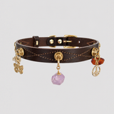Sacred Flow Dog Collar