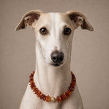 Protection Dog Necklace