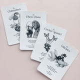 Divine Dog Oracle Cards