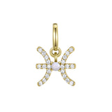 Pisces Charm with Blue Lace Agate