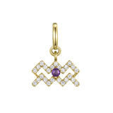 Aquarius Charm with Amethyst