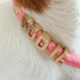 Customized Collar