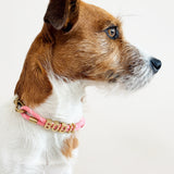 Customized Collar