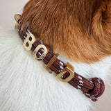 Customized Collar