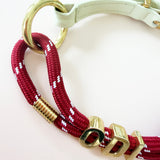 Customized Collar