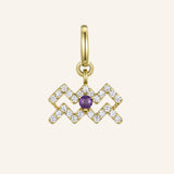 Aquarius Charm with Amethyst