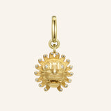 Courage Charm - The Lion