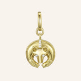 Guardian Charm - The Bear