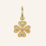 Luck Charm