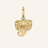 Wisdom Charm - The Elephant