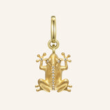 Renewal Charm - The Frog