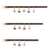 Sacred Flow Dog Collar