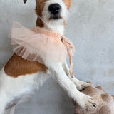 Grace Tulle Ruff