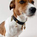 Unleash CPH Blooming Soul Dog Collar - Medium