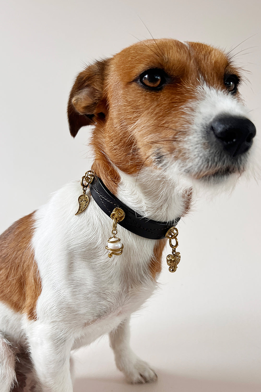 Unleash CPH Blooming Soul Dog Collar - Medium