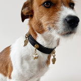 Unleash CPH Blooming Soul Dog Collar - Medium