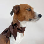 Unleash CPH Cocoa Silk Bow