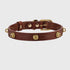 Unleash CPH Cognac Dog Collar