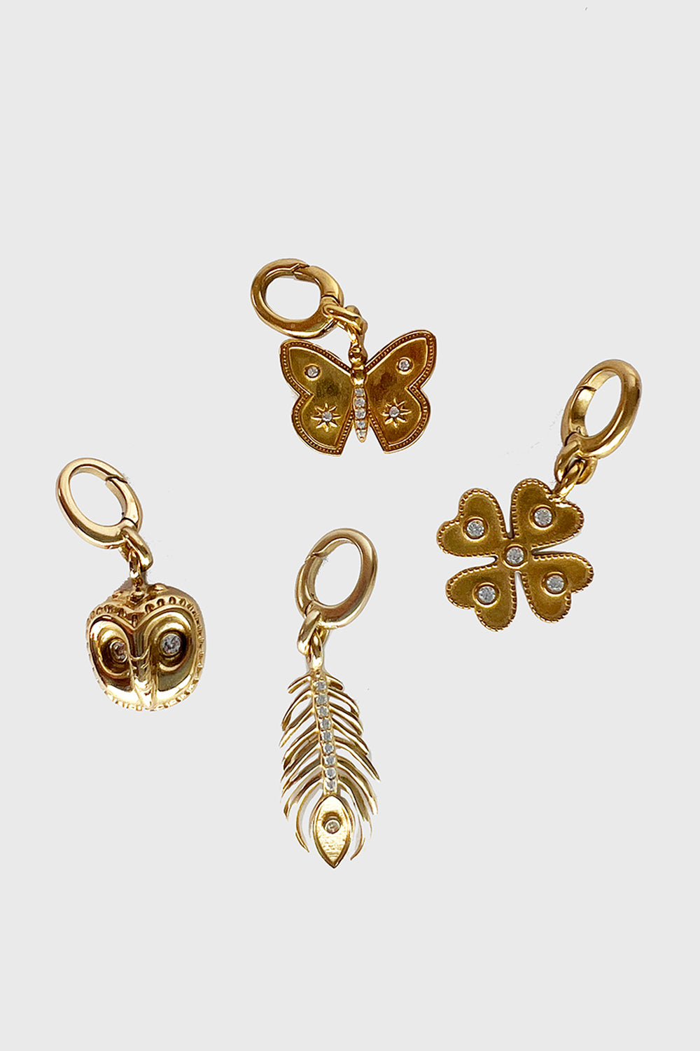 Unleash CPH Destiny Path Dog Collar - Medium