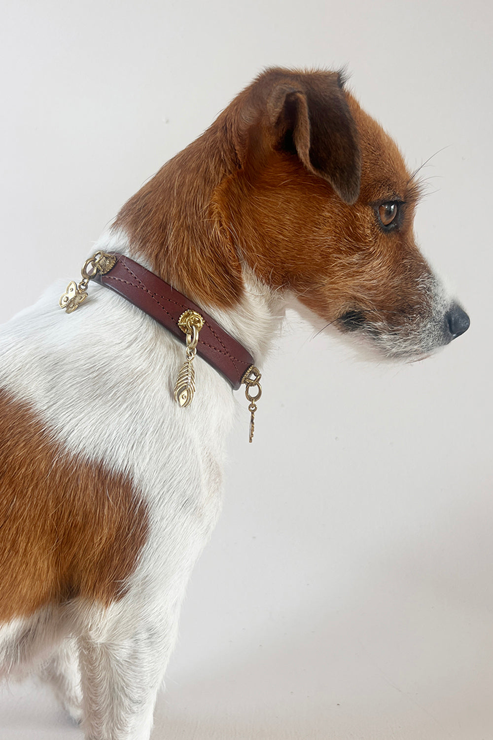 Unleash CPH Destiny Path Dog Collar - Medium