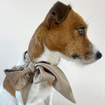 Unleash CPH Dune Silk Bow