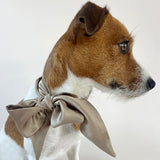 Unleash CPH Dune Silk Bow