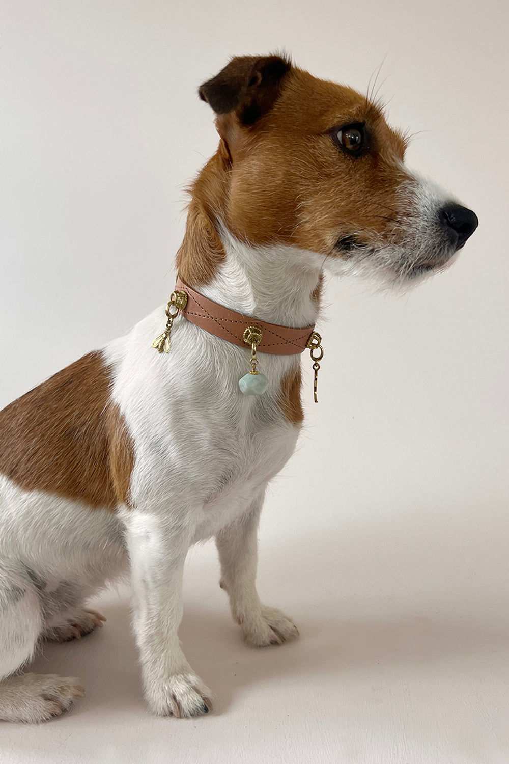 Unleash CPH Ever Bloom Dog Collar - Medium