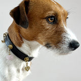 Unleash CPH Infinite Heart Dog Collar - Small