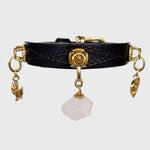 Unleash CPH Infinite Heart Dog Collar - X-small