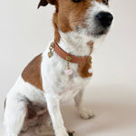 Unleash CPH Kindred Hearts Dog Collar - Medium