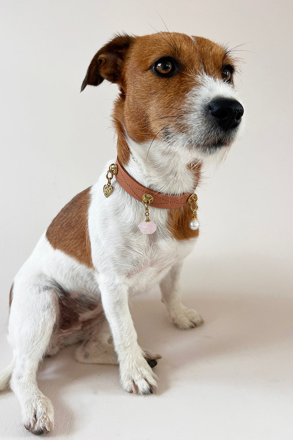 Unleash CPH Kindred Hearts Dog Collar - Medium