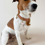 Unleash CPH Kindred Hearts Dog Collar - Medium