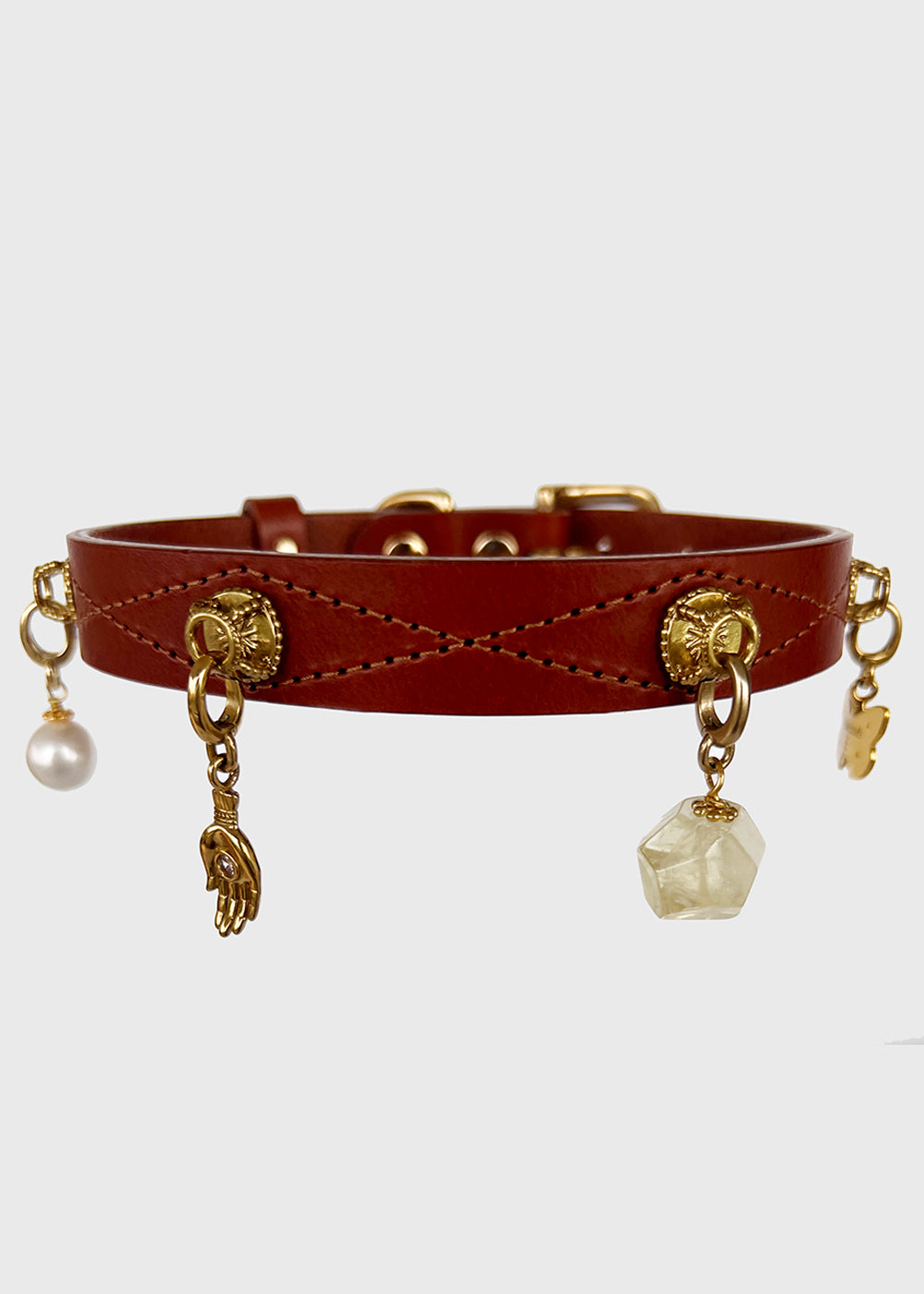 Unleash CPH Radiant Light Dog Collar - Medium