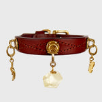 Unleash CPH Radiant Light Dog Collar - Small