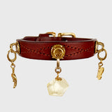 Unleash CPH Radiant Light Dog Collar - Small