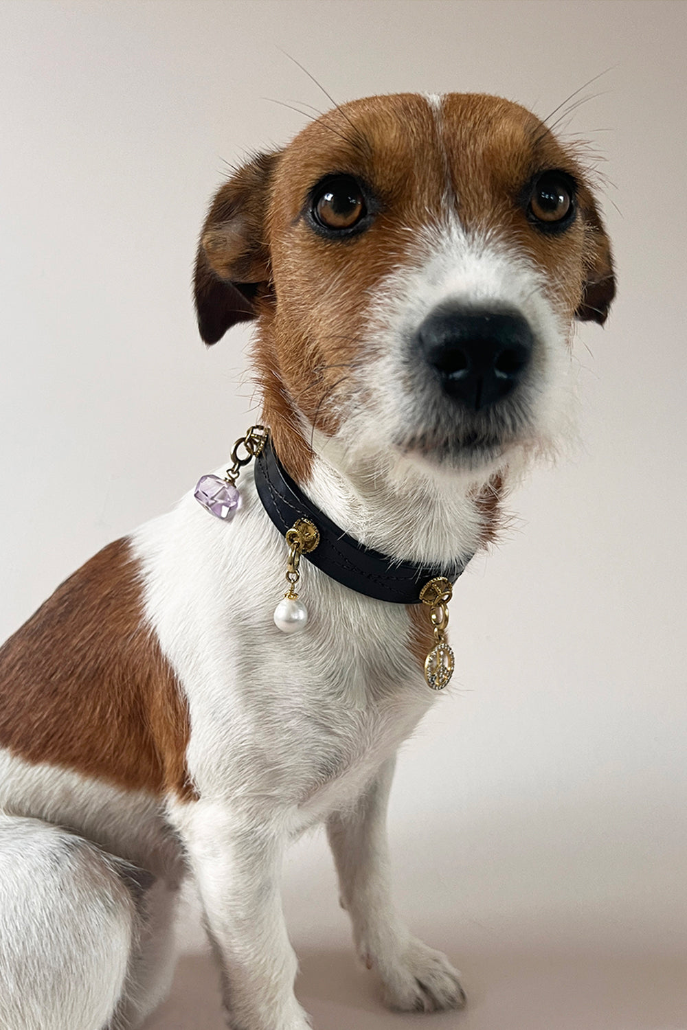 Unleash CPH Sacred Flow Dog Collar - Large